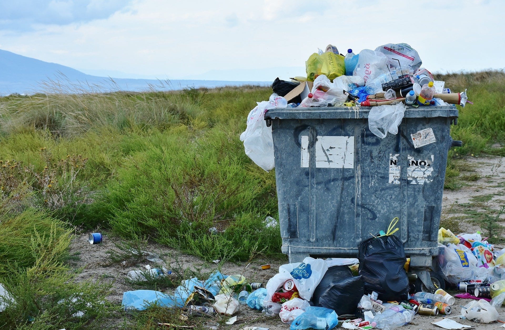 litter
